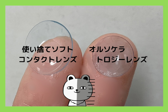 コンタクトレンズの大きさ比較